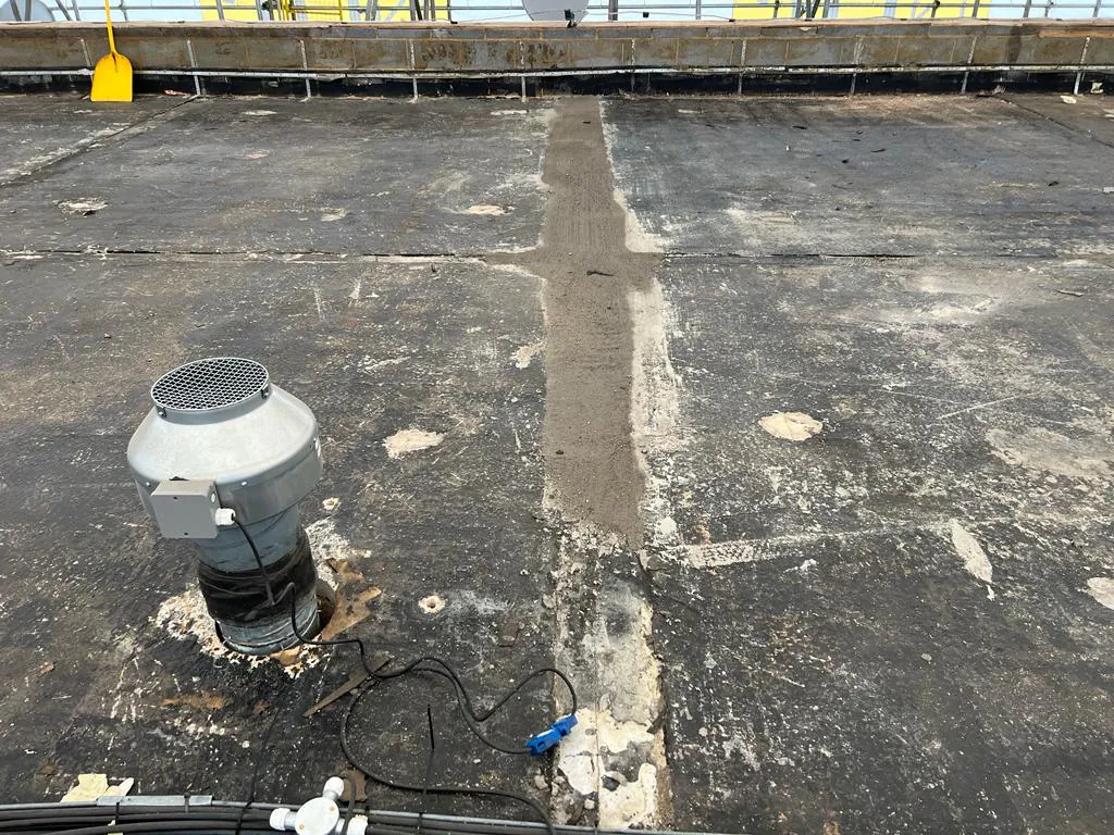 Roof plant extraction detail