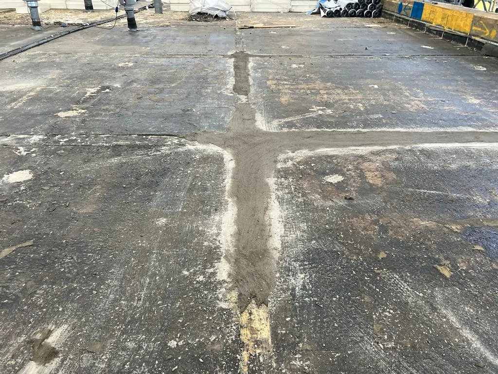 Holiday Inn Express Ilford exterior & roof view